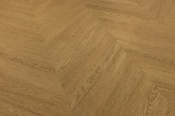 SPC ������� Steinholz
